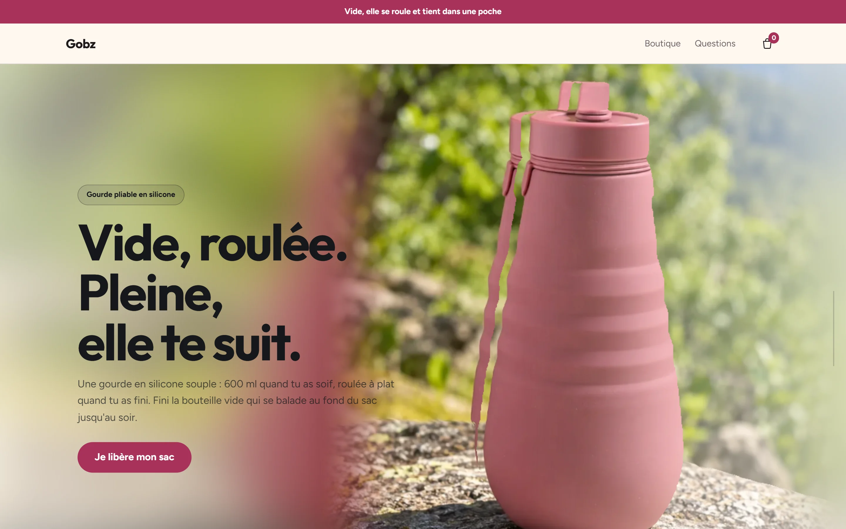 Thème Gobz, page d'accueil